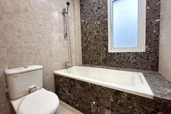Kim Seng Promenade (D9), Condominium #546415151